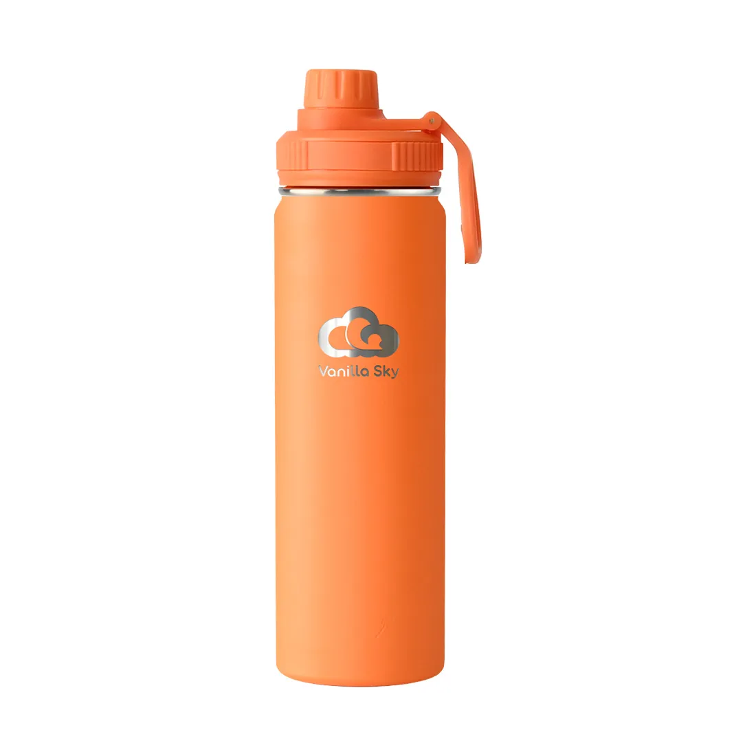 650 ml - Sunny Skies - Insulated Stainless Steel Bottle
