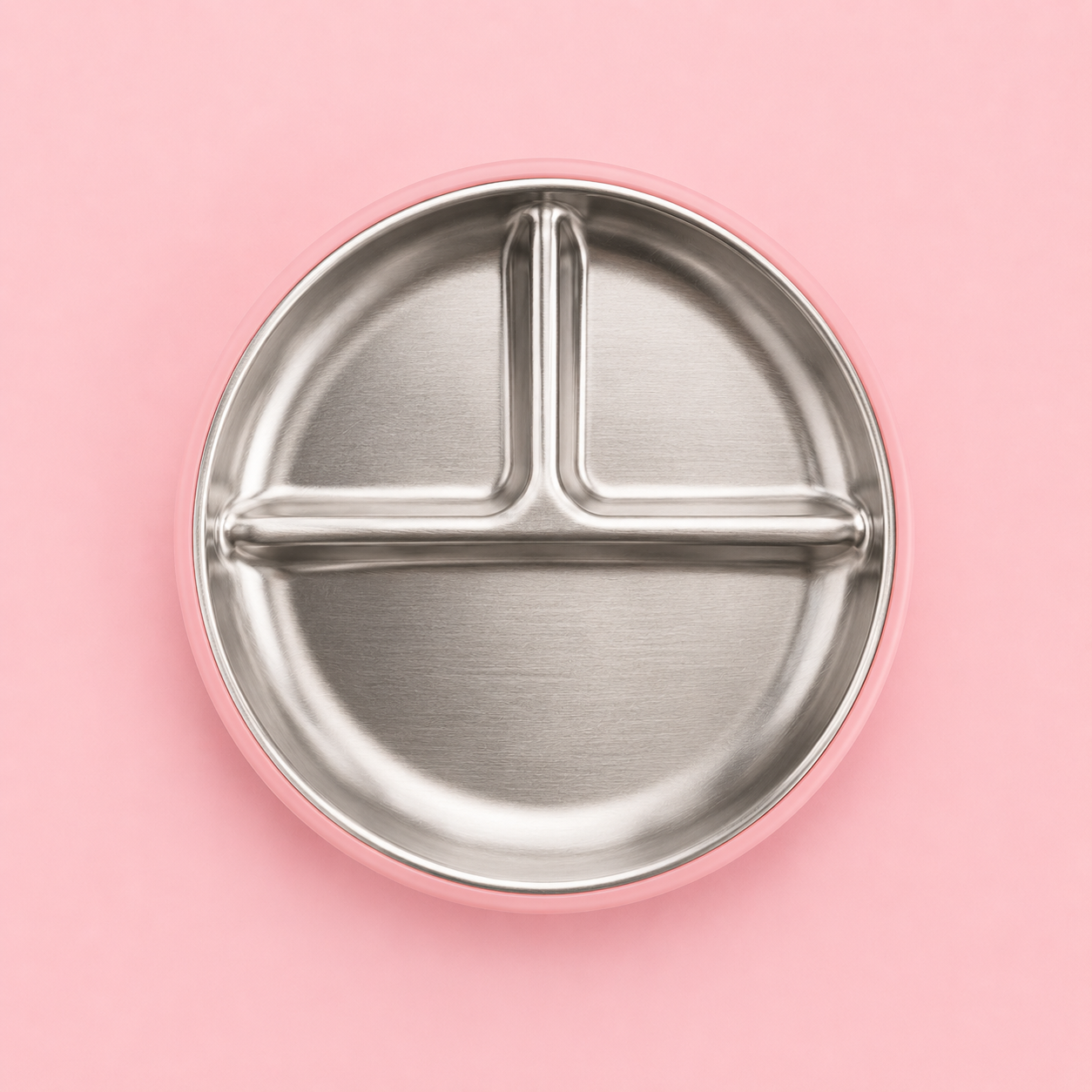Little Nibble l - Stainless Steel Plate